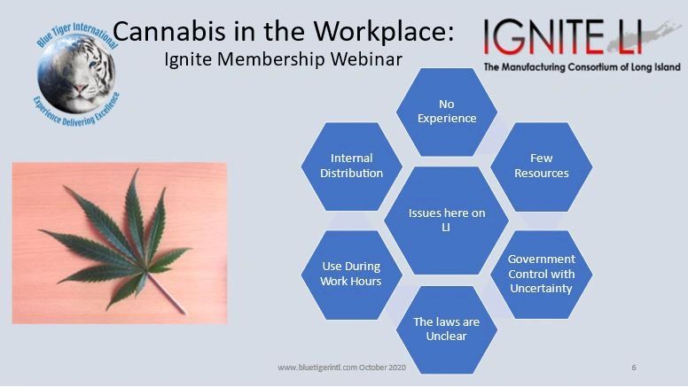 Recreational Cannabis: Implications for the Shop Floor